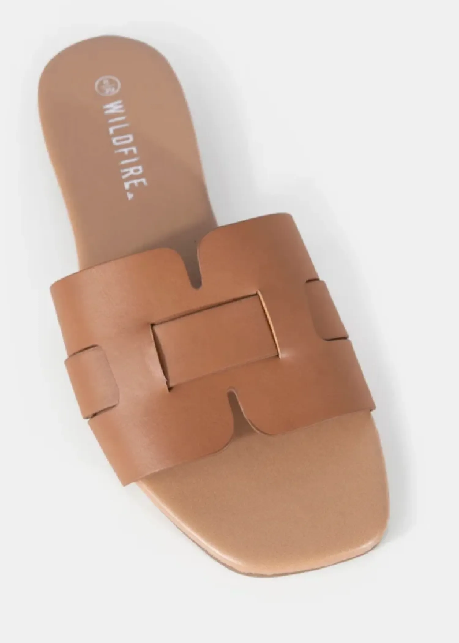 DITTANY SLIDE