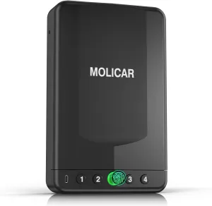 Gun Safe for Handgun Small Biometric Pistol Safe Fingerprint Quick Access Portable Gun Lock Box for Cars Travel Nightstand Bedside