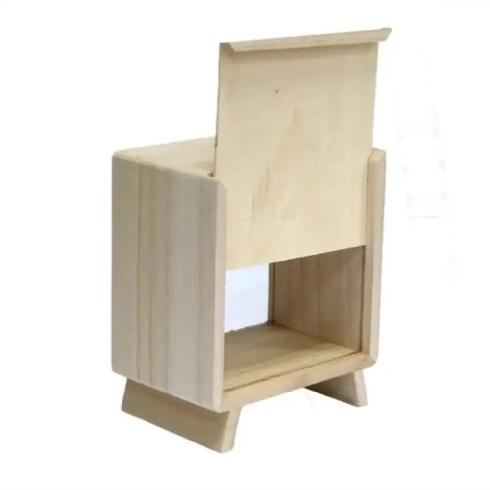Money Box - Daisy