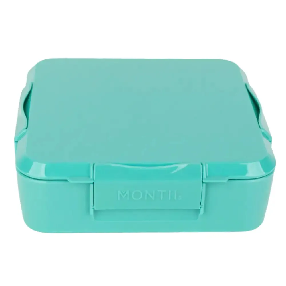 Personalised Mint Lunch Box - Brachiosaurus